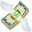 💸